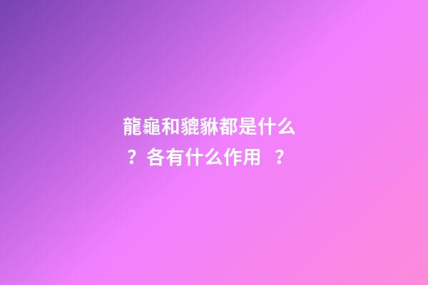 龍龜和貔貅都是什么？各有什么作用？